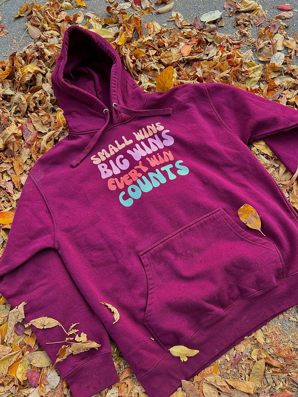 Every Win Counts hoodie